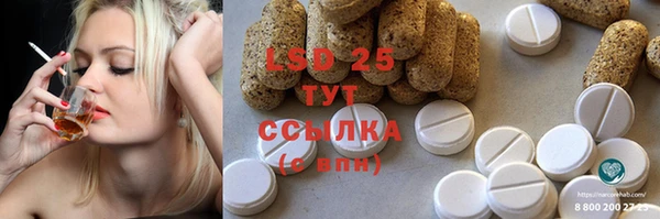 СК Алзамай