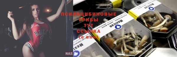 хмурый Алексеевка